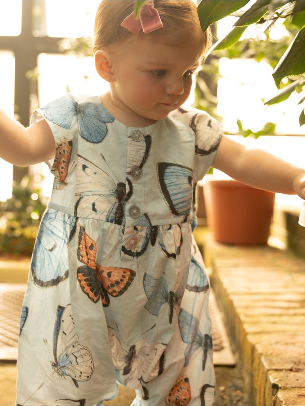 Pink Chicken Baby Girls Light Blue Butterfly Alexandra Jumper NWT